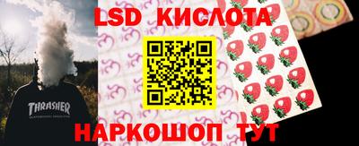 индика Шебекино