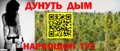 индика Шебекино
