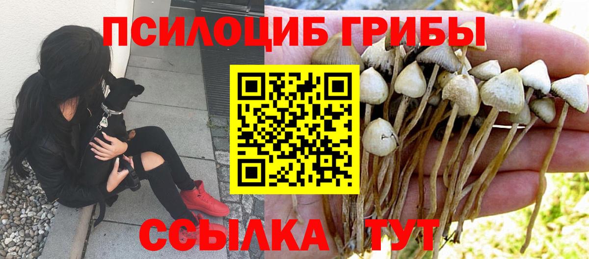 Богородск  Псилоцибиновые грибы ЛСД  Вход с VPN 